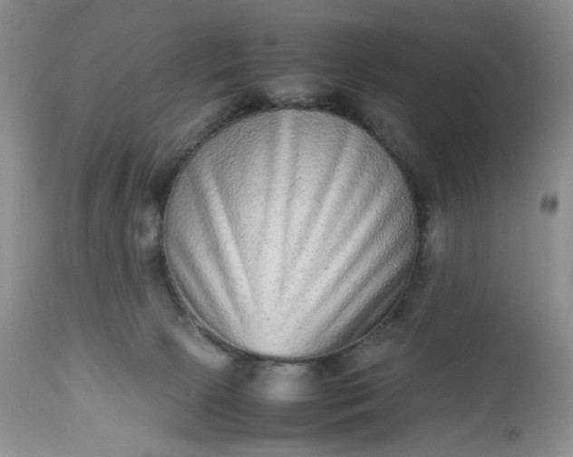 X0000112510081200908311343