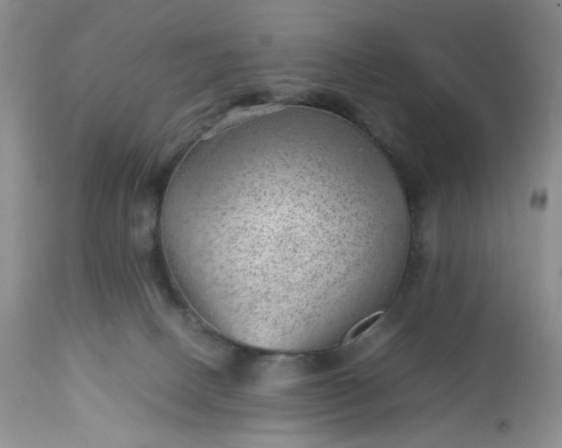 X0000112510082200908311343