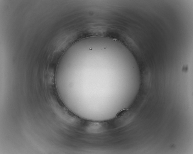 X0000112510083200908311343