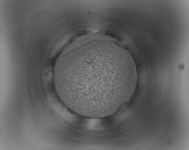 X0000112510085200908311343