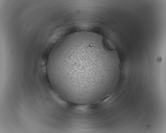 X0000112510086200908311343