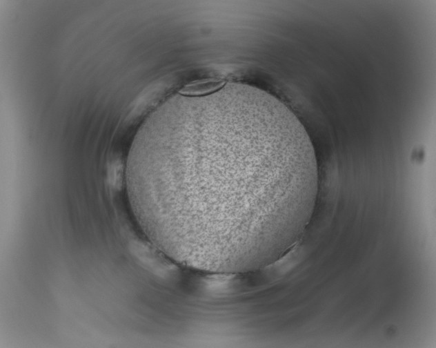 X0000112510090200908311343