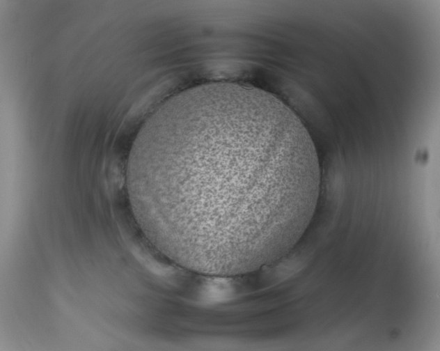 X0000112510091200908311343