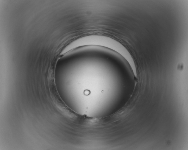 X0000112510092200908311343