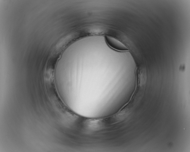 X0000112510093200908311343