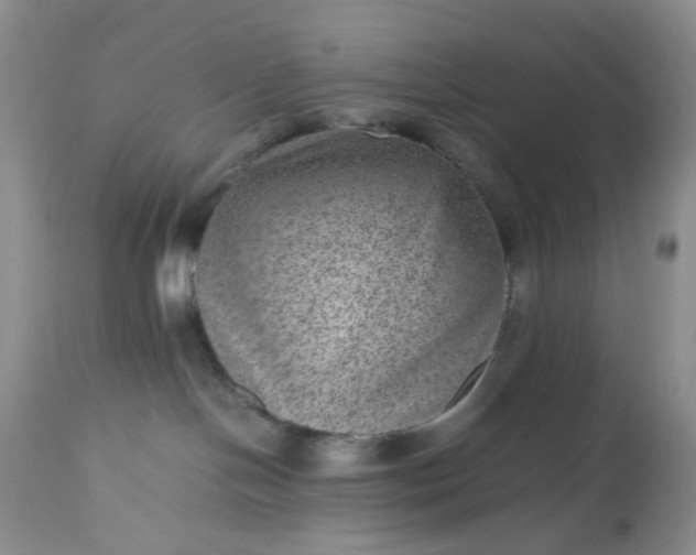 X0000112510094200908311343