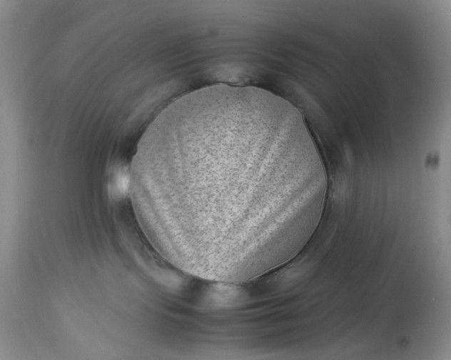 X0000112510095200908311343