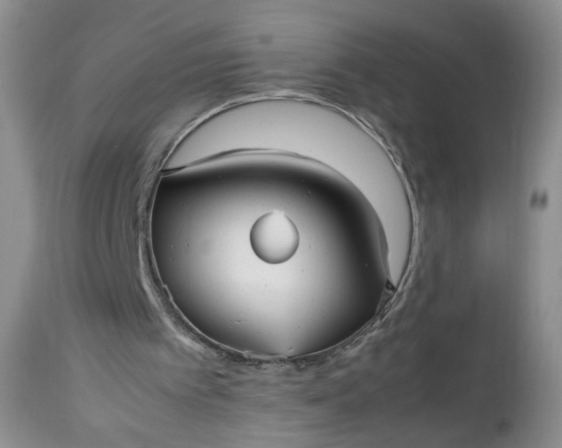 X0000112510097200908311343