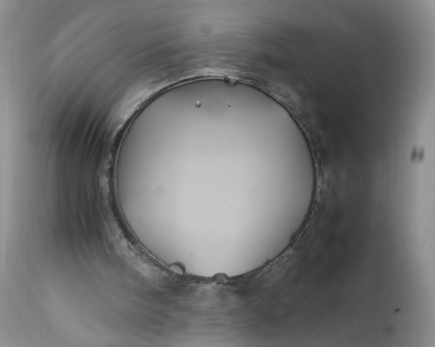 X0000112510098200908311343