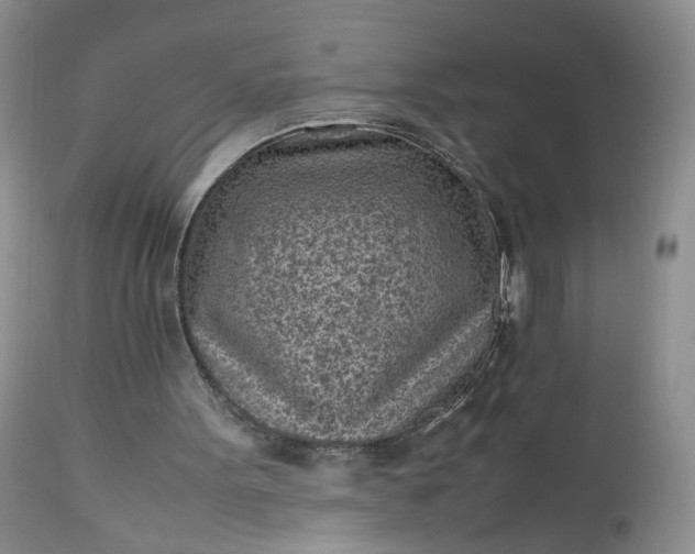 X0000112510099200908311343