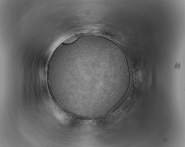 X0000112510100200908311342