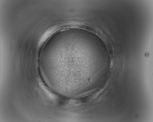 X0000112510101200908311342