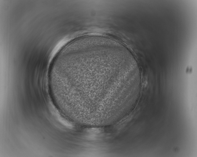 X0000112510102200908311342