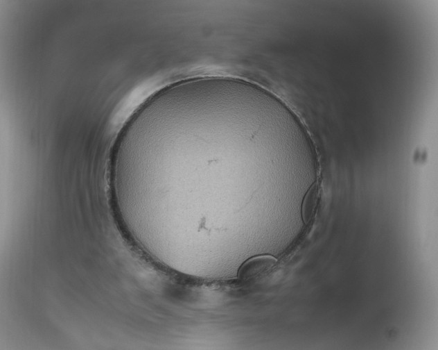 X0000112510103200908311342