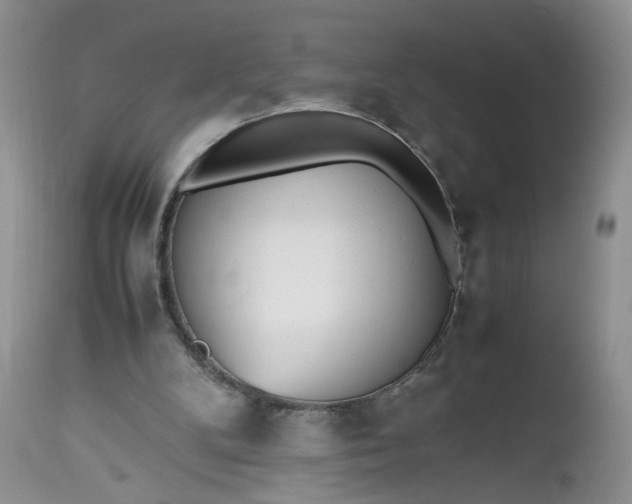 X0000112510104200908311342