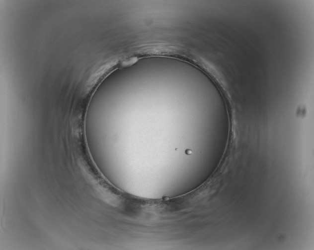 X0000112510105200908311342