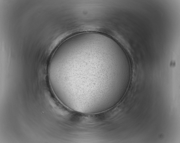 X0000112510107200908311342