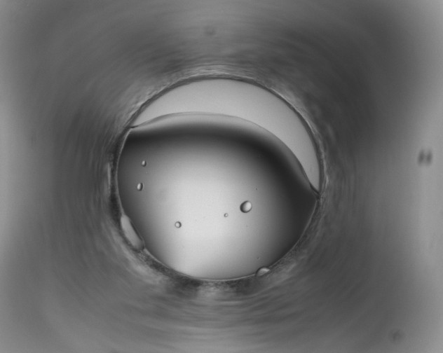 X0000112510109200908311342