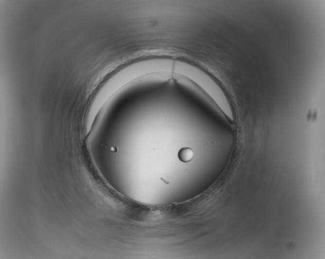 X0000112510111200908311342