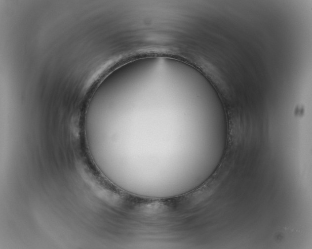 X0000112510112200908311342