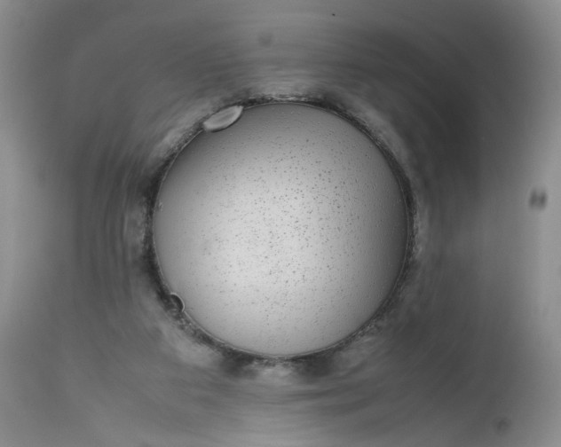 X0000112510113200908311342