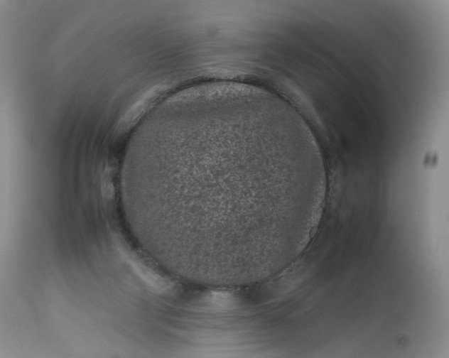 X0000112510114200908311342