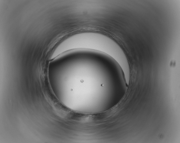 X0000112510116200908311342