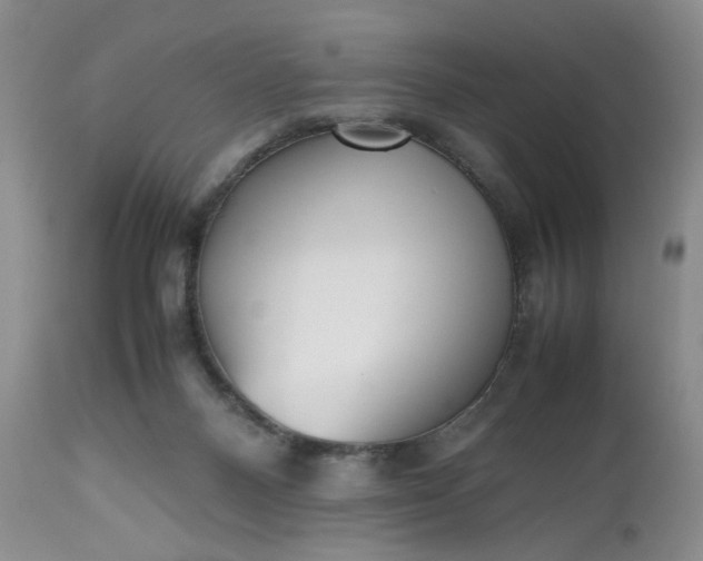 X0000112510120200908311342