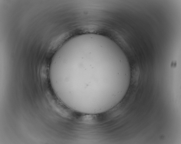 X0000112510126200908311342