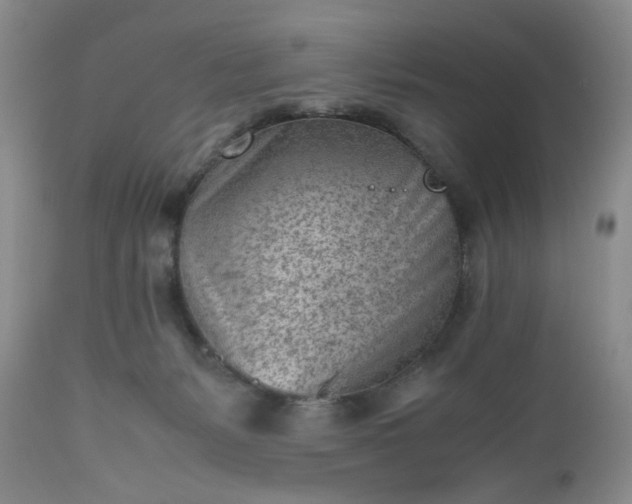 X0000112510127200908311342