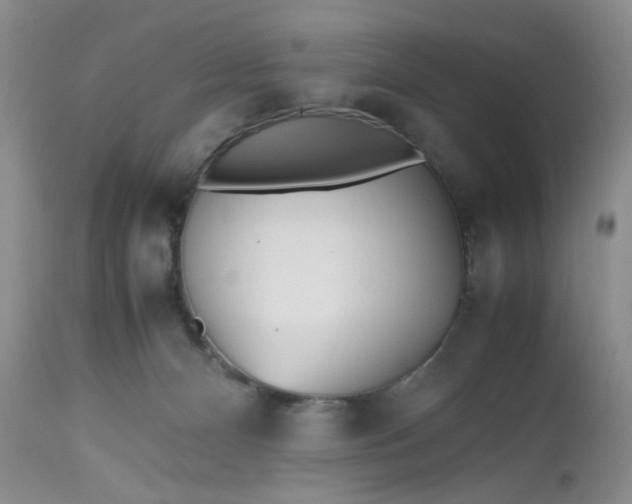 X0000112510128200908311342