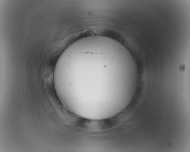 X0000112510129200908311342