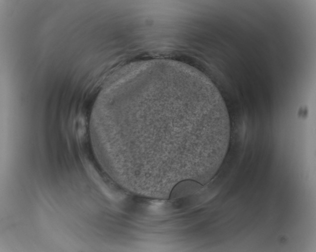 X0000112510130200908311342