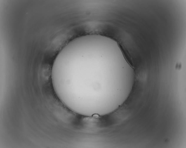 X0000112510133200908311342