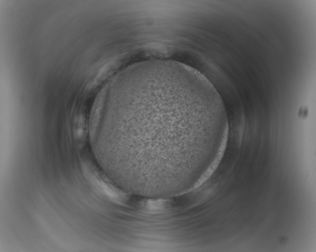 X0000112510134200908311342