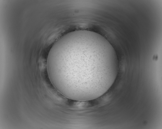 X0000112510135200908311342