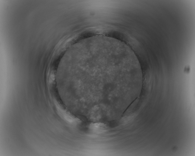 X0000112510137200908311342