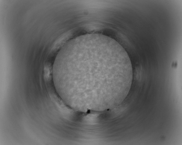 X0000112510138200908311342