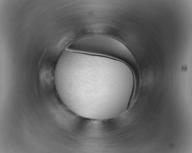 X0000112510140200908311342