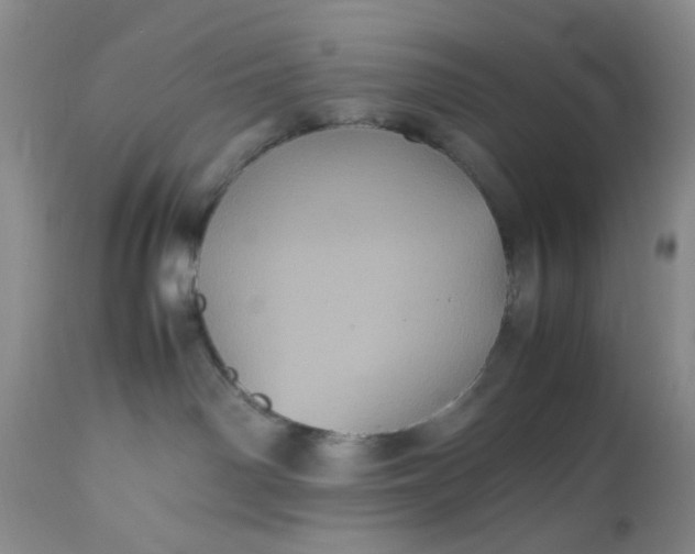 X0000112510142200908311342