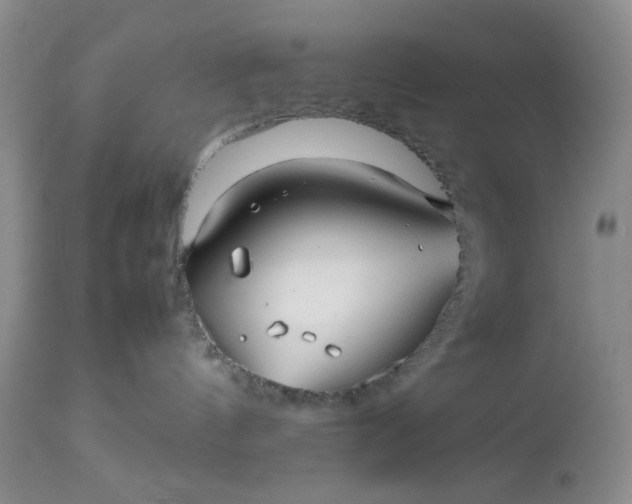 X0000112510144200908311342