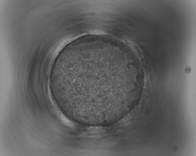 X0000112510145200908311341