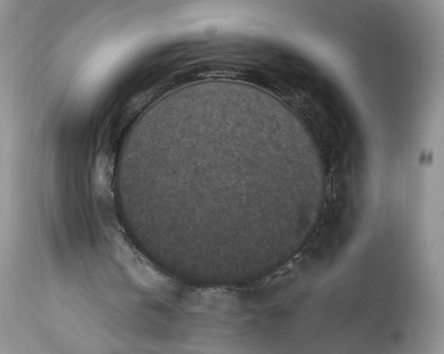 X0000112510146200908311341