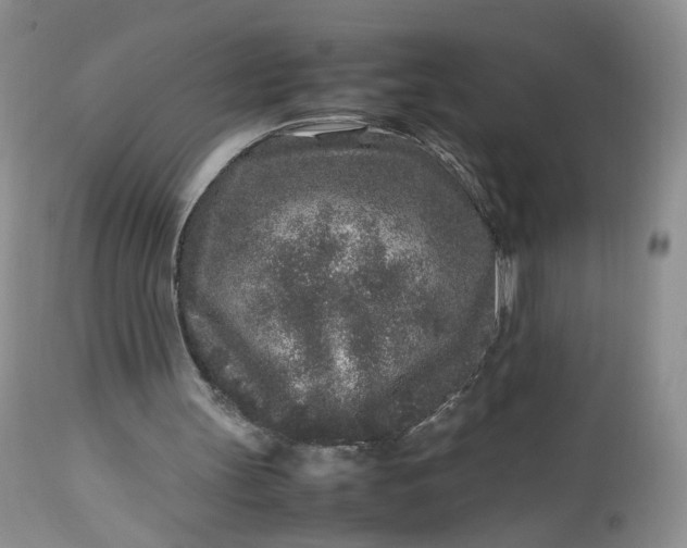 X0000112510147200908311341