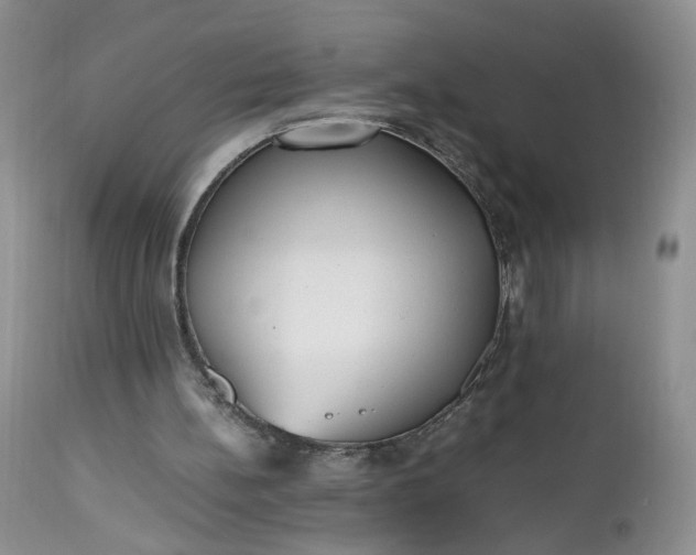 X0000112510148200908311341