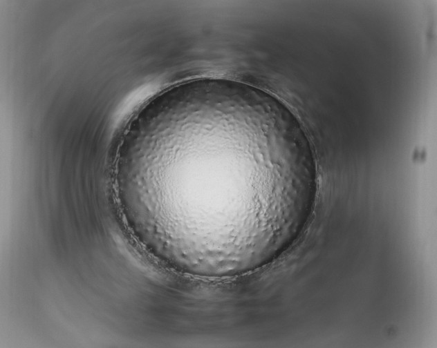 X0000112510149200908311341