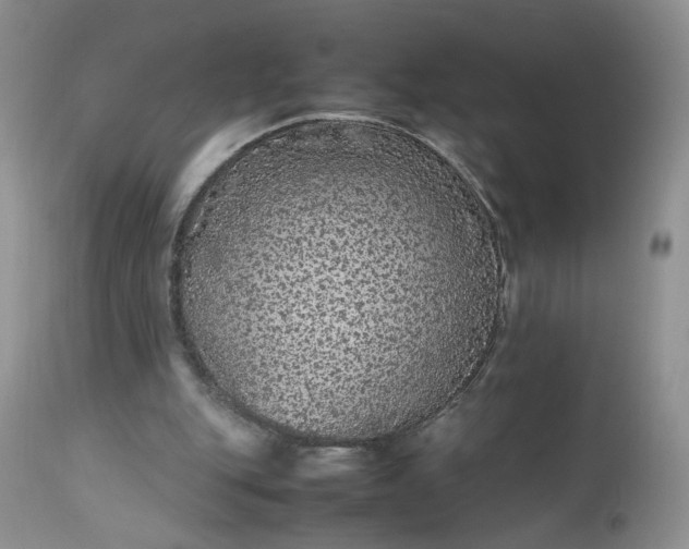 X0000112510151200908311341