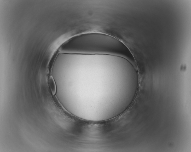 X0000112510152200908311341