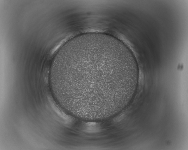 X0000112510153200908311341