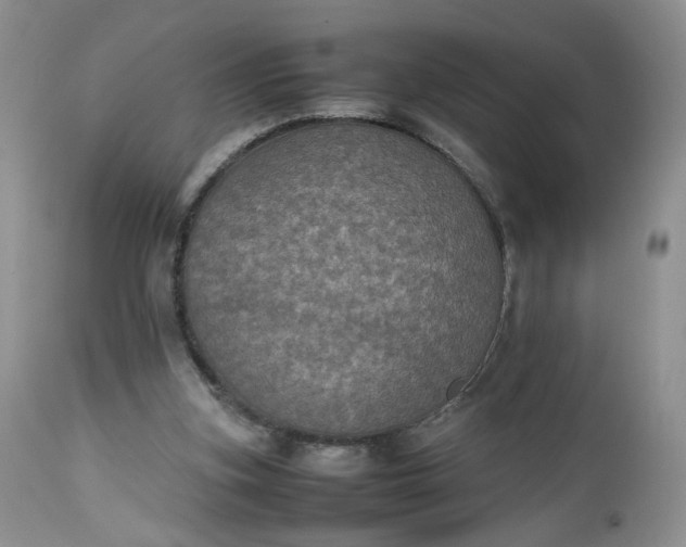 X0000112510155200908311341